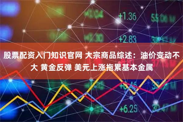 股票配资入门知识官网 大宗商品综述：油价变动不大 黄金反弹 美元上涨拖累基本金属