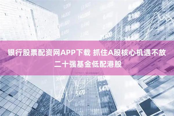 银行股票配资网APP下载 抓住A股核心机遇不放 二十强基金低配港股