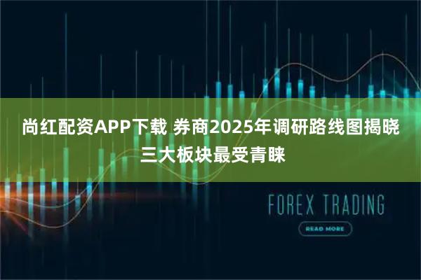 尚红配资APP下载 券商2025年调研路线图揭晓 三大板块最受青睐